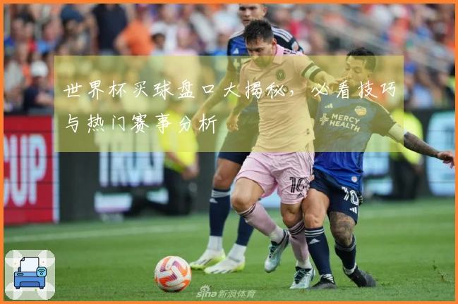 世界杯买球盘口大揭秘，必看技巧与热门赛事分析