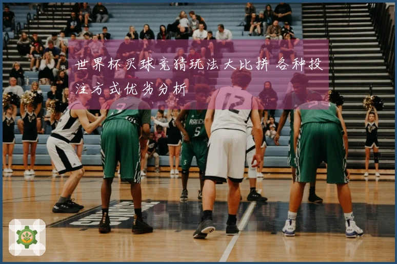 世界杯买球竞猜玩法大比拼 各种投注方式优劣分析