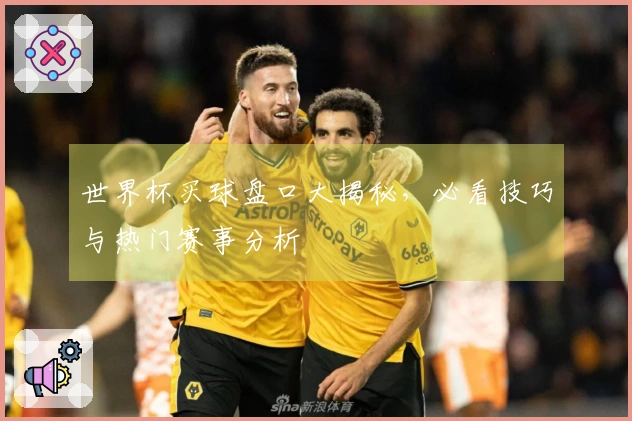 世界杯买球盘口大揭秘，必看技巧与热门赛事分析