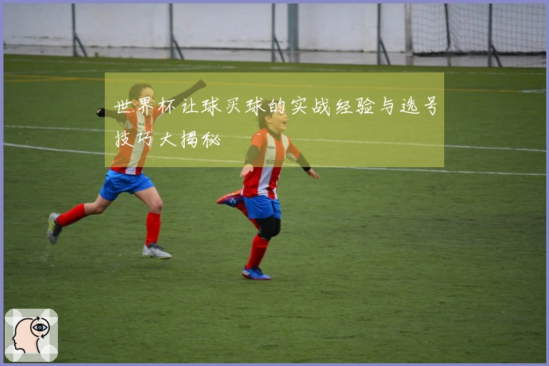 世界杯让球买球的实战经验与选号技巧大揭秘