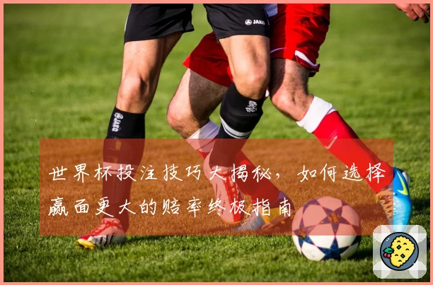 世界杯投注技巧大揭秘，如何选择赢面更大的赔率终极指南