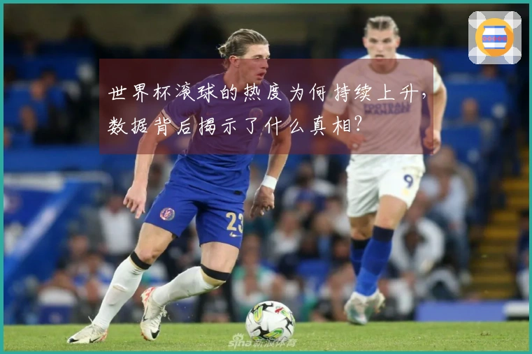 世界杯滚球的热度为何持续上升，数据背后揭示了什么真相？