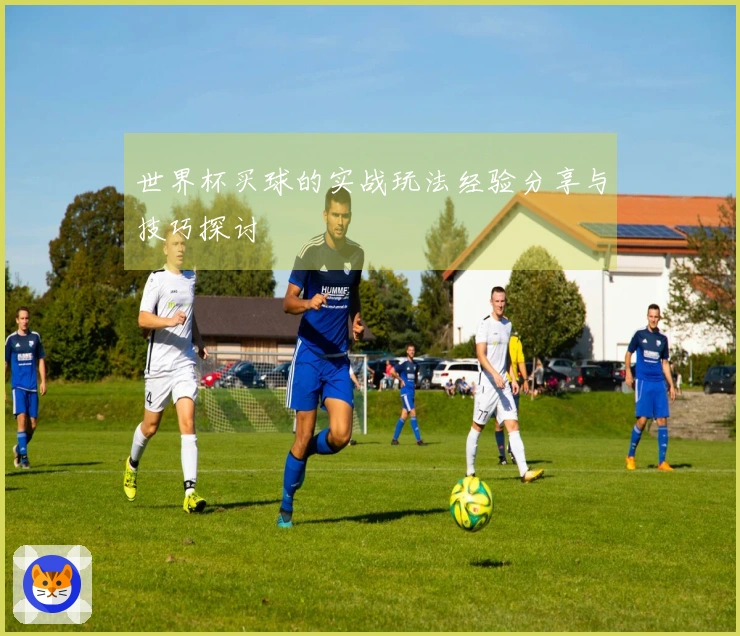 世界杯买球的实战玩法经验分享与技巧探讨