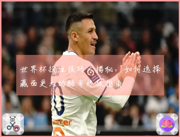 世界杯投注技巧大揭秘，如何选择赢面更大的赔率终极指南