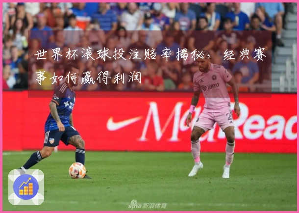 世界杯滚球投注赔率揭秘，经典赛事如何赢得利润