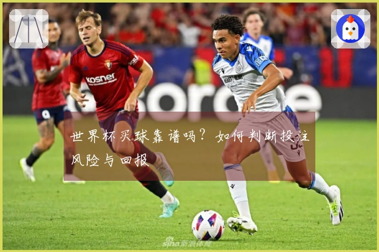 世界杯买球靠谱吗？如何判断投注风险与回报