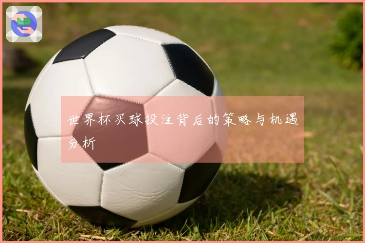 世界杯买球投注背后的策略与机遇分析
